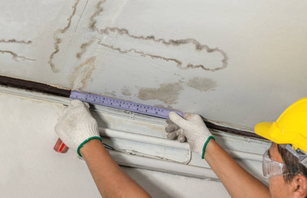 Reliable Mold Remediation contractor in Porter, ME by Local Water Damage Repair